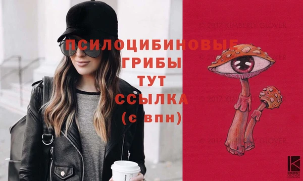 тгк Покровск