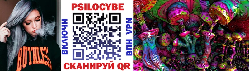 Псилоцибиновые грибы Cubensis  Купить  Скопин 